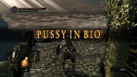 Pussy in Bio Dark Souls