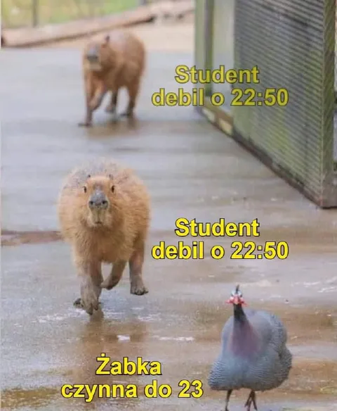 Student debil o 22:50