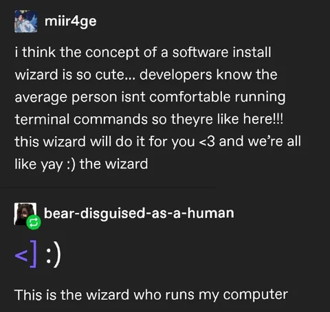 The Wizard Runs My Computer