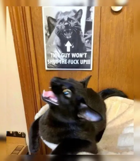 This Guy Won’t Shut the Fuck Up