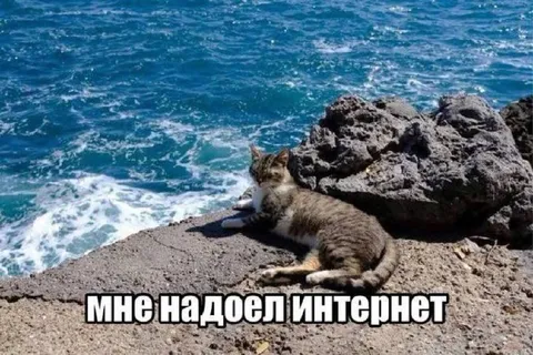 Мне надоел интернет