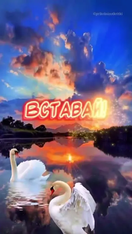 С добрым утром, вставай!
