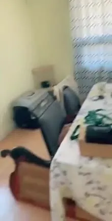 Когда наконец нашёл кота