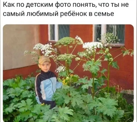 Нелюбимый ребёнок в семье