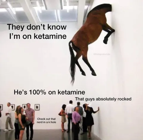 Ketamine Horse at the Gallery
