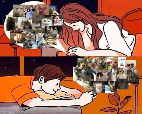 Когда оба любят котиков
