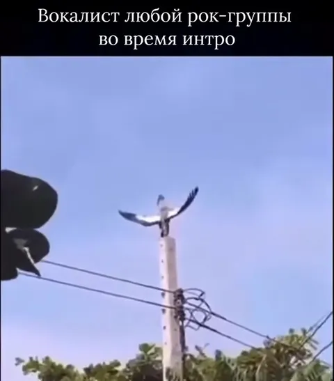 Вокалист рок-группы на интро