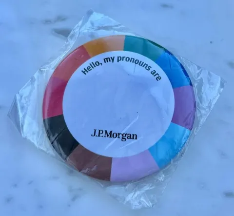 My Pronouns Are J.P.Morgan