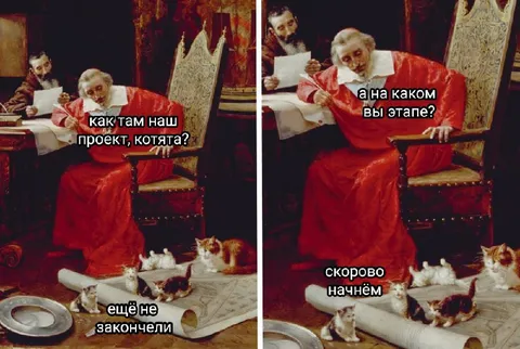 Проект с котятами