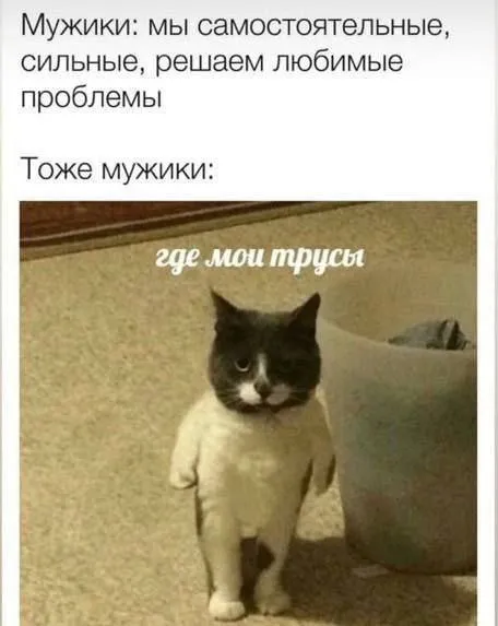 Где мои трусы