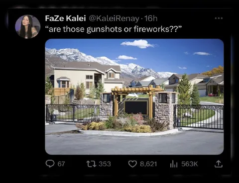 Gunshots or Fireworks