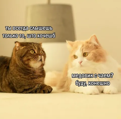 Слышишь только то, что хочешь