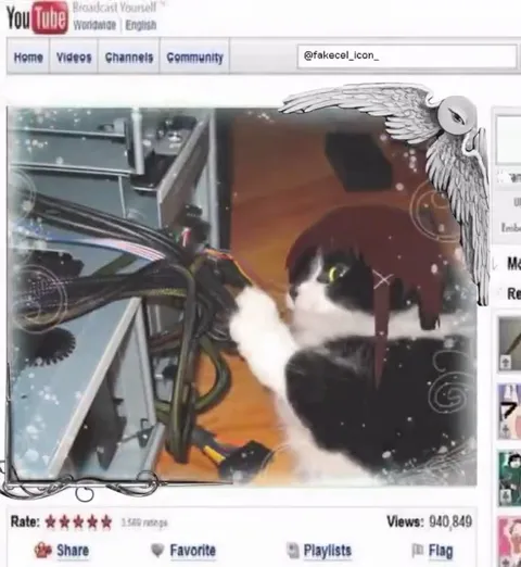 Cat Fixes Every Computer