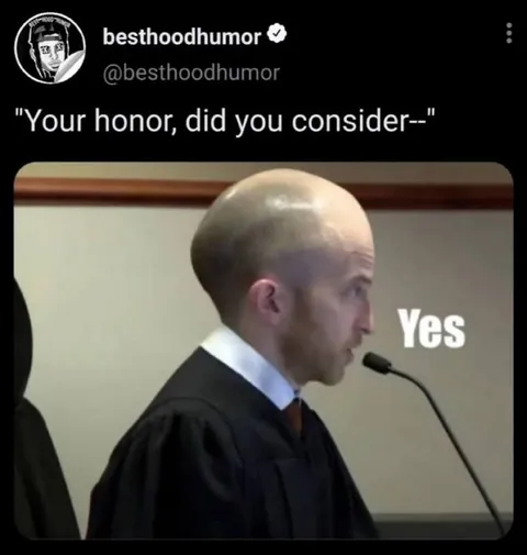 Your Honor, Did You Consider