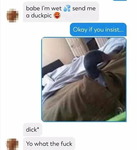 Send Me a Duck Pic