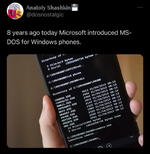 MS-DOS on Windows Phones