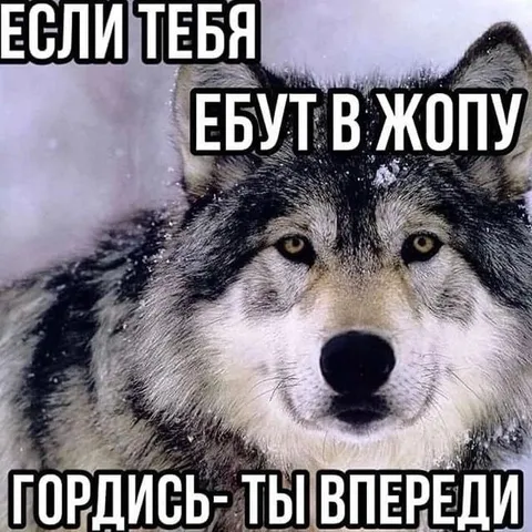 Гордись ты впереди