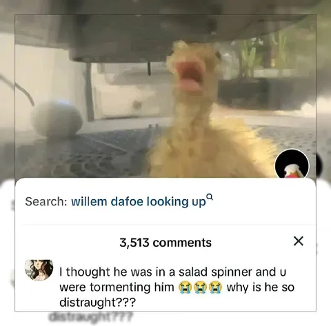 Willem Dafoe Looking Up