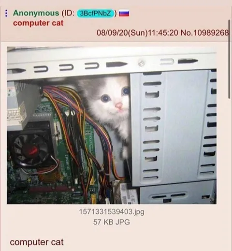 Cat Inside the Computer