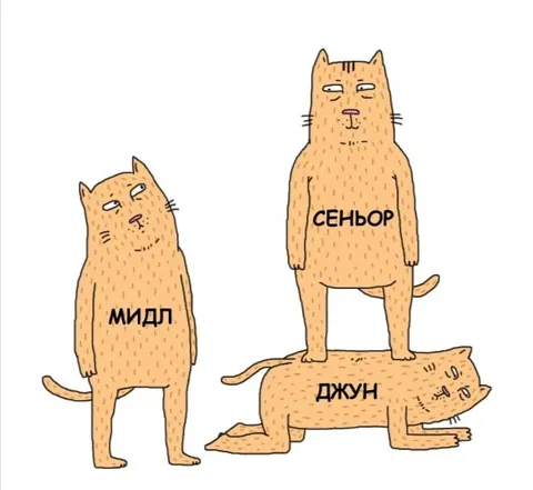 Мидл, сеньор и Ждун