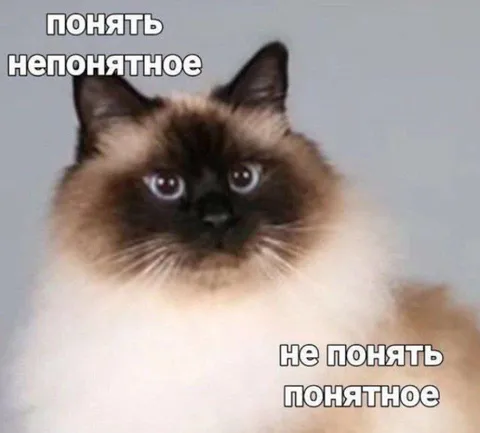 Понять непонятное