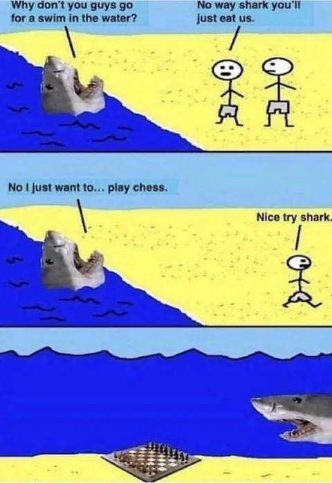 Shark Wants to Play Chess