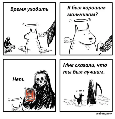 Собака спрашивает, был ли хорошей