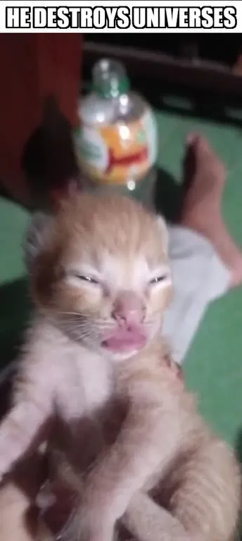 Kitten Destroys Universes