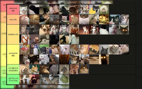 Silly Cat Tier List