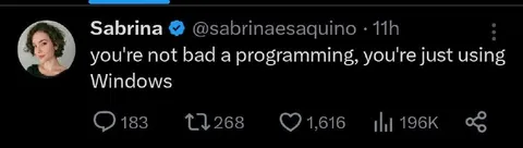 Programming Is Fine, Windows Isn't