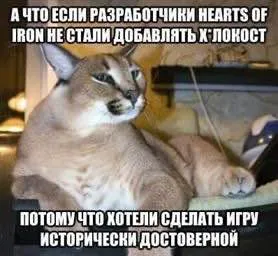 Кот разработчики Hearts of Iron