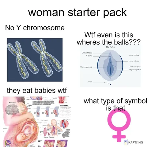 Woman Starter Pack Confusion