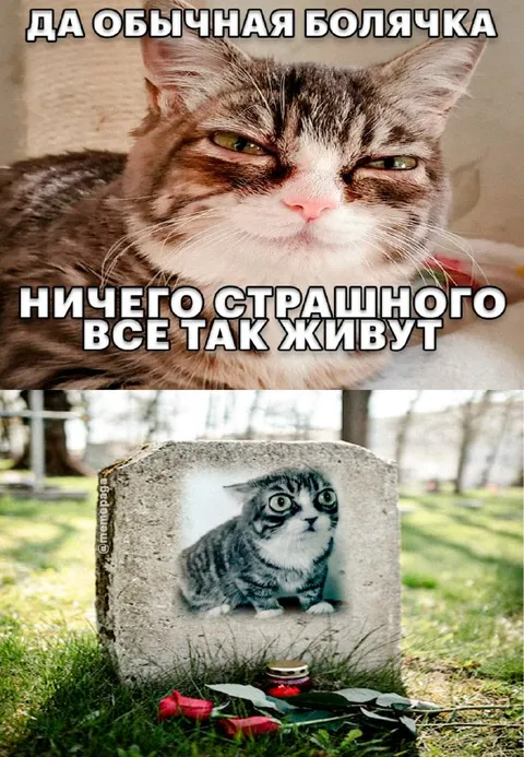 Да обычная болячка ничего страшного