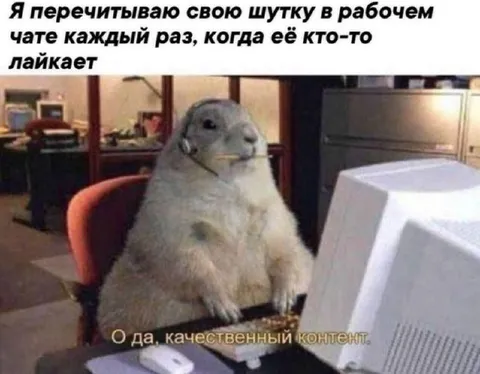 Перечитываю шутку в рабочем чате