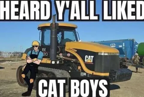 Heard Y'all Liked Cat Boys