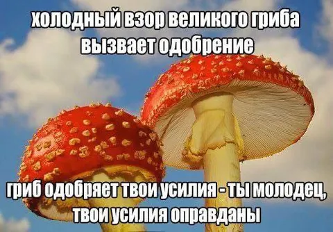 Одобрение великого гриба