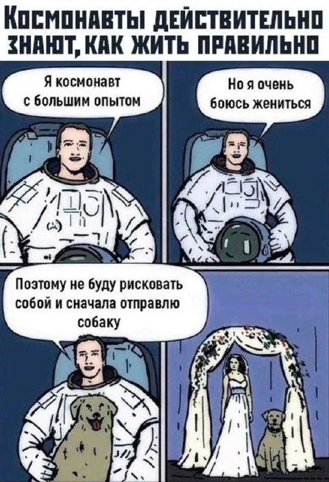 Космонавт отправляет собаку первой