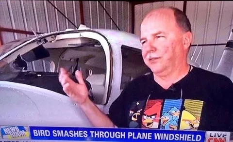 Bird Smashes Through Plane Windshield