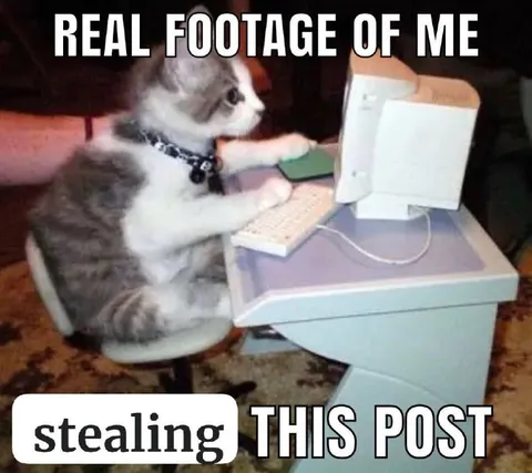 Cat Stealing This Post