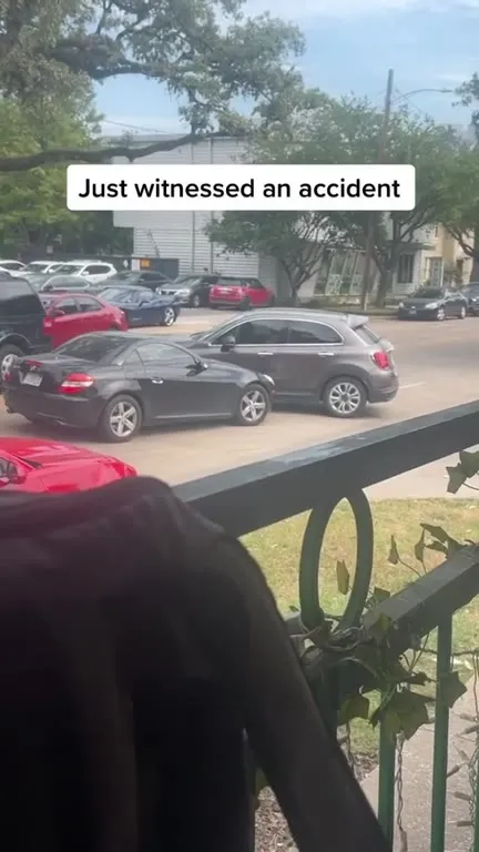 Dog Witnesses an Accident