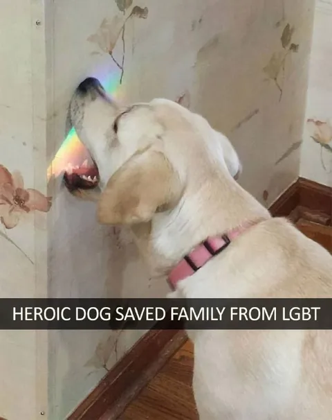 Heroic Dog Saves Family From LGBT