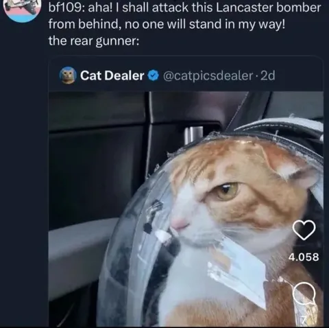Lancaster Bomber Rear Gunner Cat