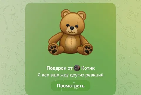 Мишка ждёт реакций