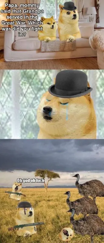 Doge Grandpa’s Great War