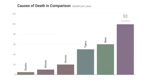 Causes of Death in Comparison
