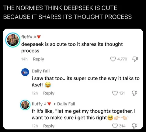 DeepSeek Thought Process Is Cute