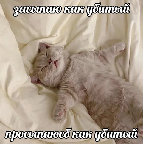 Засыпаю и просыпаюсь как убитый