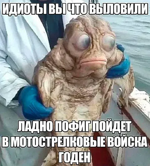 Морской мутант в мотострелках