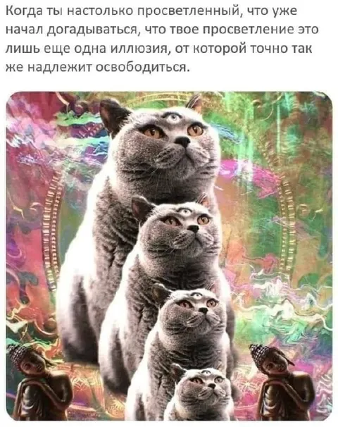 Просветление — ещё одна иллюзия