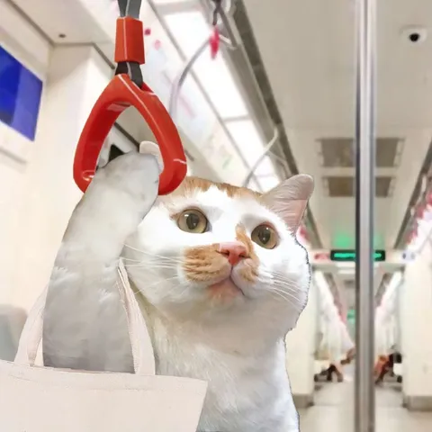 Кот в метро держится за поручень